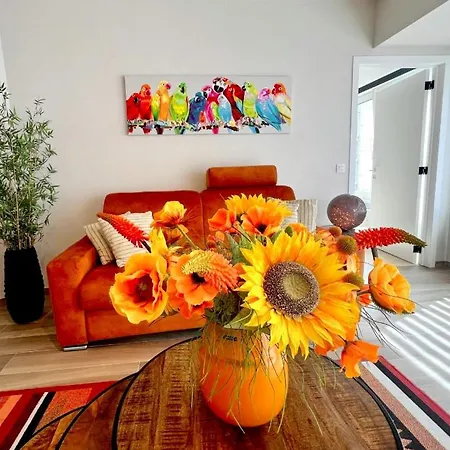 Belverdi & Apartman *