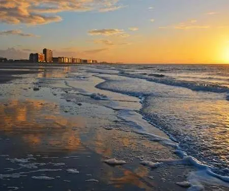 شقة Belverdi & أوستيند