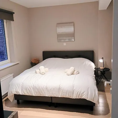 Belverdi & * أوستيند