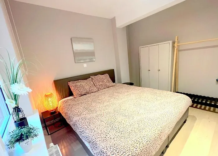 Belverdi & 아파트 *